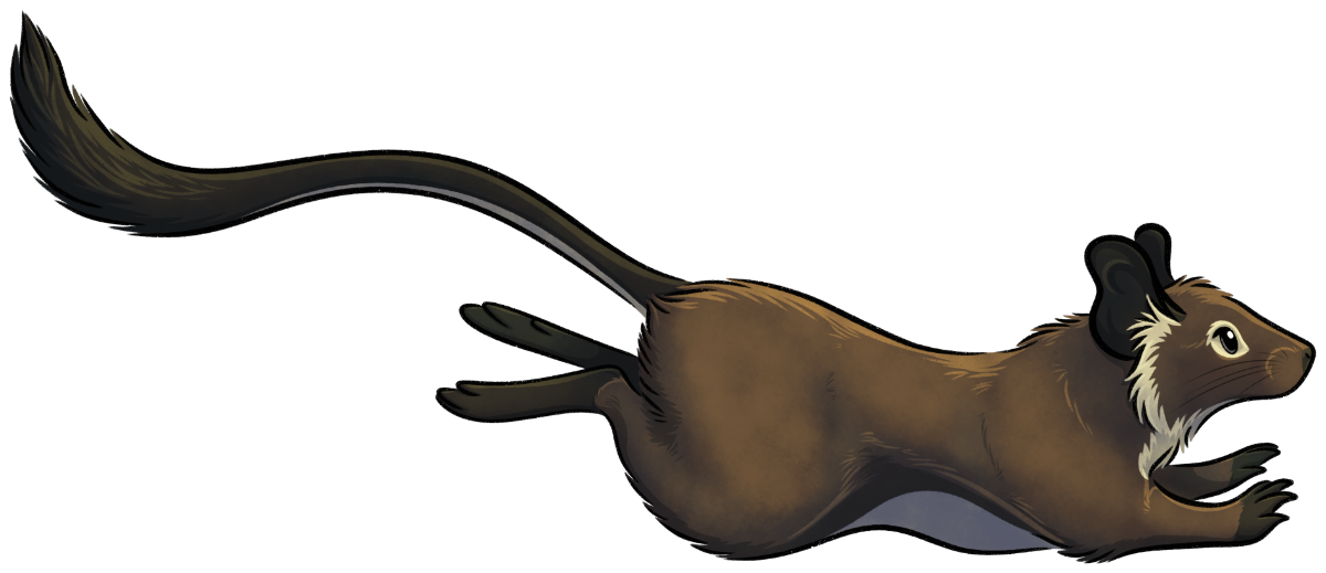 Artwork of a degu running