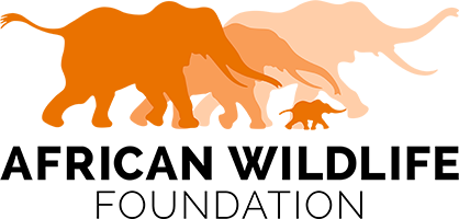African Wildlife Foundation