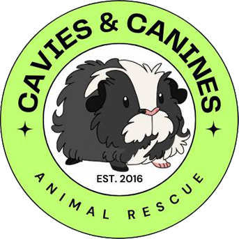 Cavies & Canines Animal Rescue