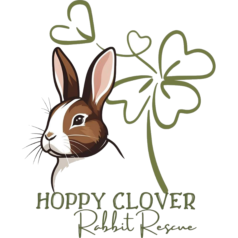 Hoppy Clover Rabbit Rescue