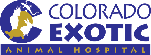 Colorado Exotic Animal Hospital