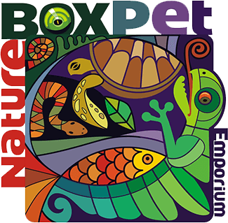 Nature Box Pet Emporium